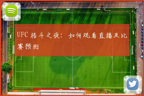 UFC 格斗之夜：如何观看直播及比赛预测