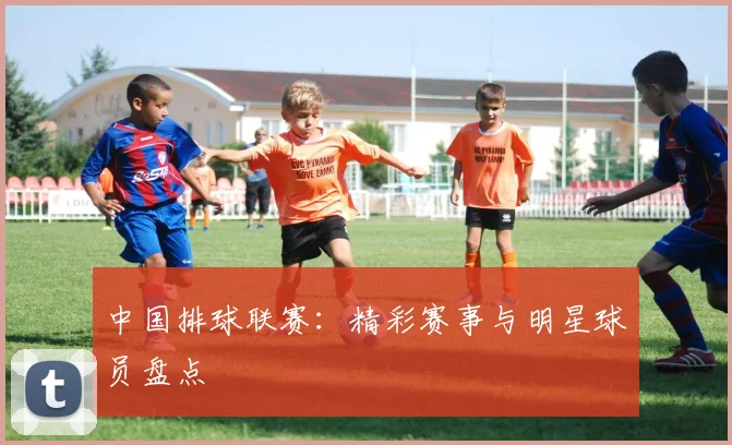 中国排球联赛：精彩赛事与明星球员盘点